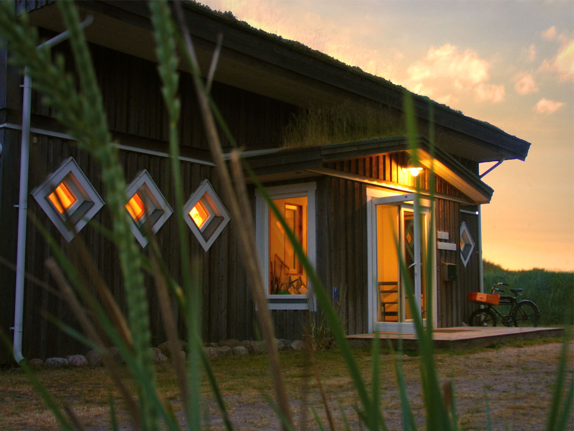 Ferienhaus Ostsee Hund