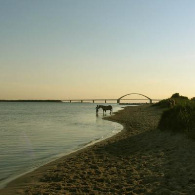 Ostsee Strand Ferienhaus 1