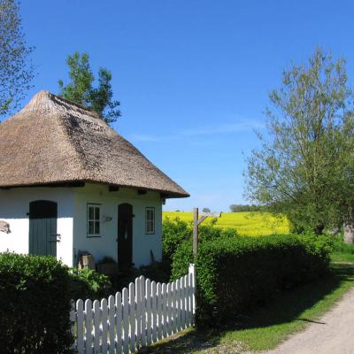 Ostsee Strand Ferienhaus 9